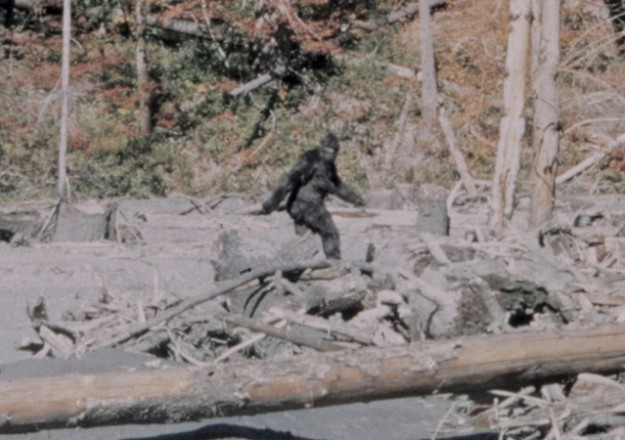 Legenda Bigfoot