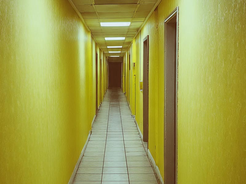 Fenomena Backrooms